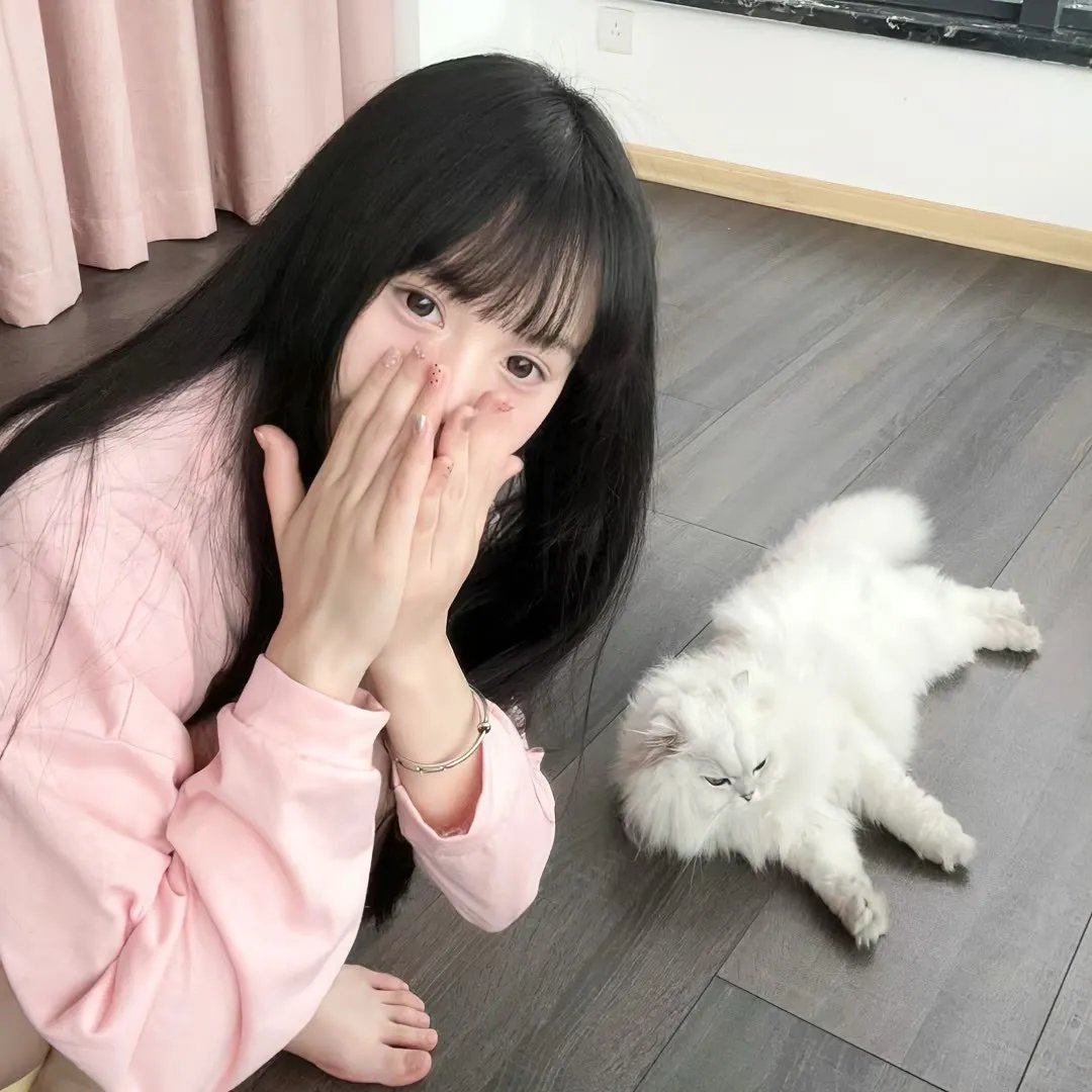 律师菲斯克 第一季
